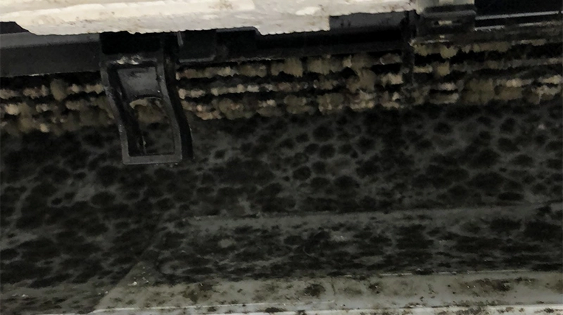 黒い粉の正体は？